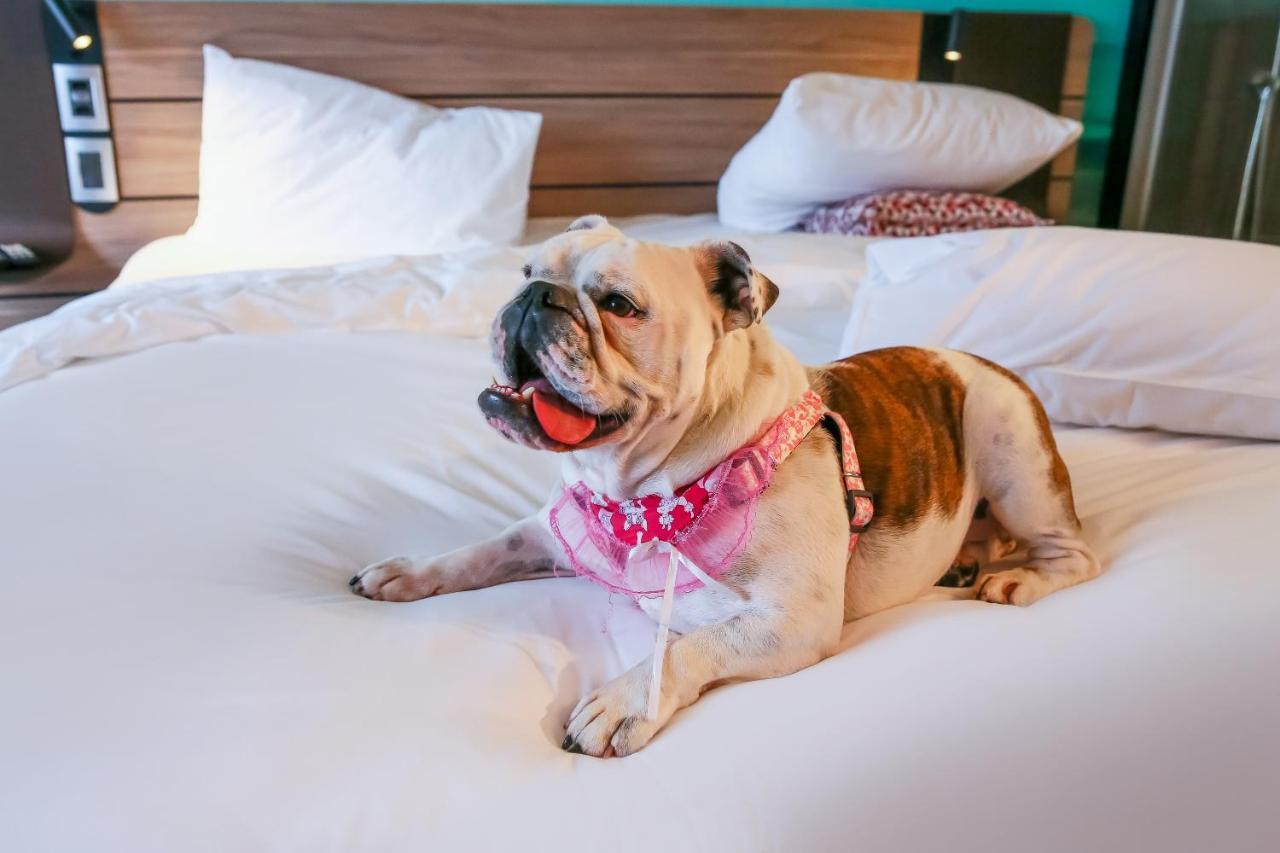 Novotel Sorocaba Luaran gambar